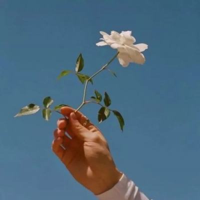 代号神昭游戏下载