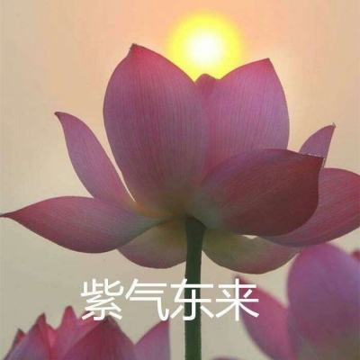 蜀山奇侠传元彪版下载